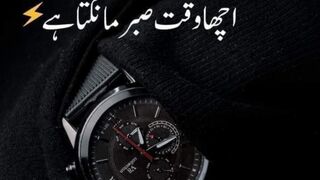Tigers of khan