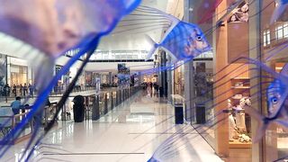 Dubai Mall Fish Aquarium