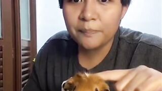ANIMAL TIKTOK COMPILATION ???????????? REACTIONS Tiktok