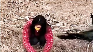 Funny Video #funnyvideo shehr main dihat