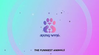 The Funniest Animals