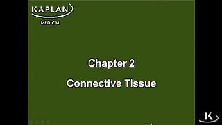 1- Support cells | CHAPTER#2- CONNECTIVE TISSUE | HISTOLOGY