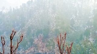 خوبصورت ویڈیو