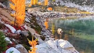 Beautiful view of nature 15