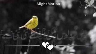 Beautiful whatsapp status