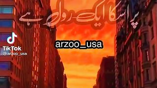 Rool hn dil