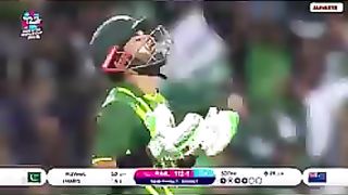 Cricket