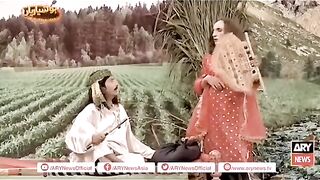 new funy video