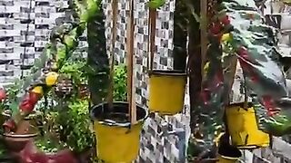 PVC pipe diy