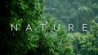 Lets GO BACK TO THE NATURE 4K HD|For More Videos Please Subscribe Our Channel