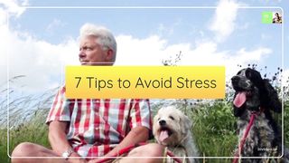 Tips to Avoid Stress