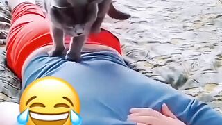 Cute caring cat