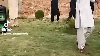 Dance on saraki song