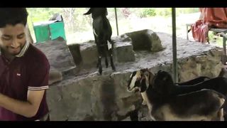 Bari Sarkar Hazari Ak din ma 1100 Seeriyan char gay Lahori Dosto Say Mulaqat vlog