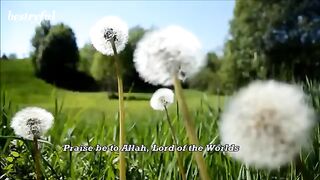 The most soothing quran recitation || really amazing with english translation||