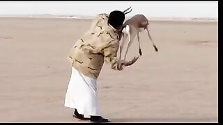 lajwab   لاجواب