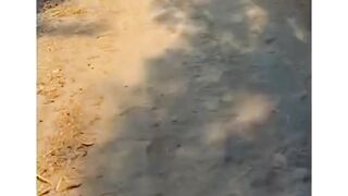 Village Life