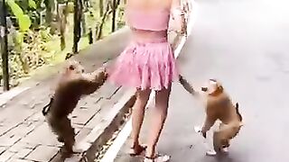 The_monkeys_want_their_bananas_