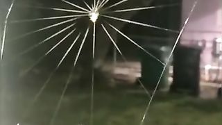 Spider Net