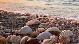 Most Heartwarming Recitation||SURAH-RAHMAN||