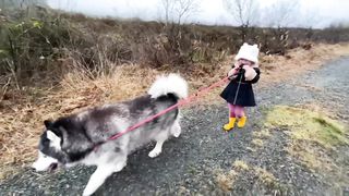 Adorable Little Girls Takes Her Dogs For A Walk! (Cutest Ever!!)