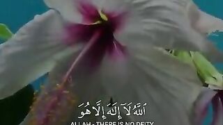 Surah Al-Baqarah - Ayatul Kursi ll ٱلله لآإلَٰه إلاهوٱلۡحي ٱلۡقيومُۚ