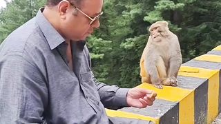 Wait for the End ????????