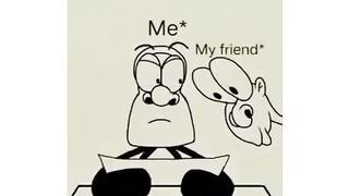 funny videos