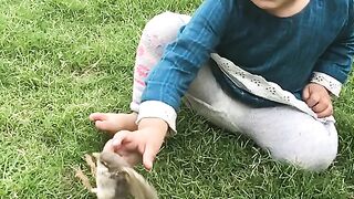little baby girl playing with bird