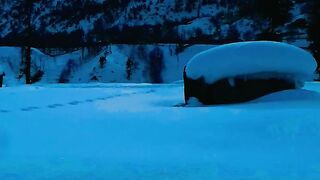 Shahi cricket ground kalam