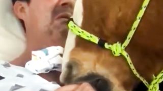 best video viral video #viral