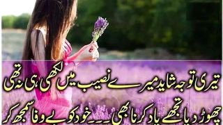 تیری باتیں تیری یادیں mughalpoetry 11