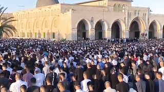 Islamic video masjad
