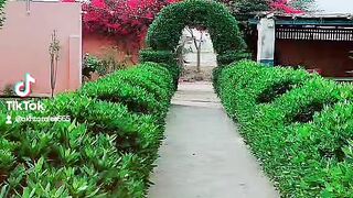 What A Video Wow ????