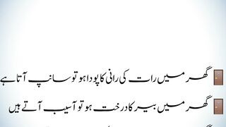 Ghar ko Tabah krny waly parindy aur janwar|گھر کو تباہ کرنے والے پرندے اور جانور| Important 2.0