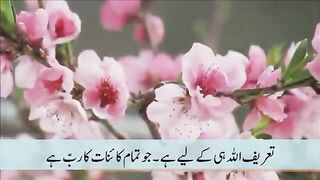 Beautiful Quran Surah Al-Fajr In Urdu Must See very Emotional!!