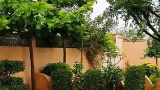 Natural Beauty Of Village
