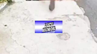 Memem lucu dan viral