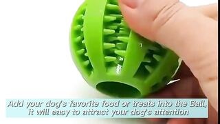 AWW, CUTE PET GAGETS!