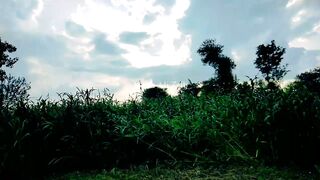 Village vlog life||video of village life