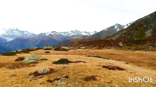 beautiful nature