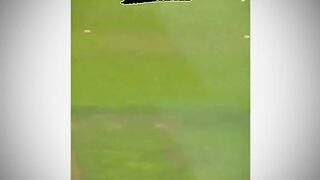 What aBrilliant catch