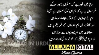 Mukhalif_ko_bhi_Narmi_sa_smjhao_Kalb_Ki_Fitrat_hi_aisi_ha_ka_wo_Sirf___Mahaa_writes(720p).