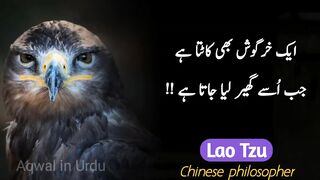 AGAR_AP_CHAHTE_HO_KA_APKA_BACHE_PUR_SAKOON_ZINDAGI_GUZARE_TO____MAHAA_WRITES(720p).