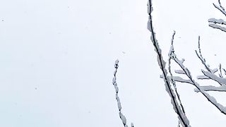 Snow fall