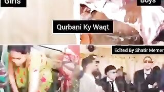 Qurbani Funny Mems