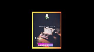 Quran Talks || Qur'an || Status || #support #beautifulvoice #quran #islamic_video