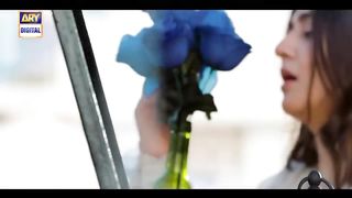 Kaisi Teri Khudgarzi HD Full Video Song
