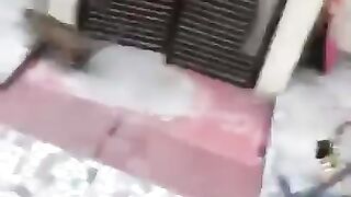 leopard in village attacking house
