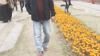 Jhoome jo Pathaan